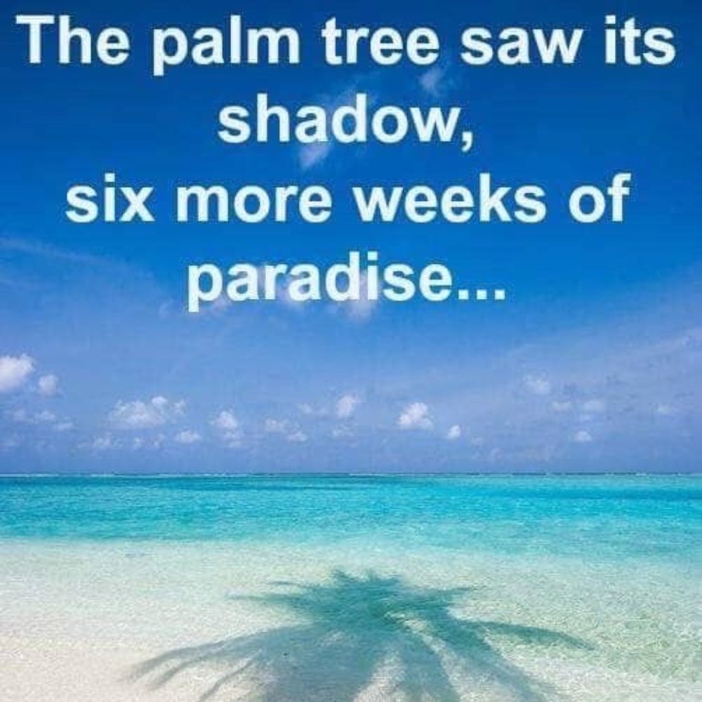 Meet your Posher, Janna